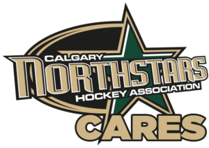 NorthStarCaresv3 NorthStarCaresv3