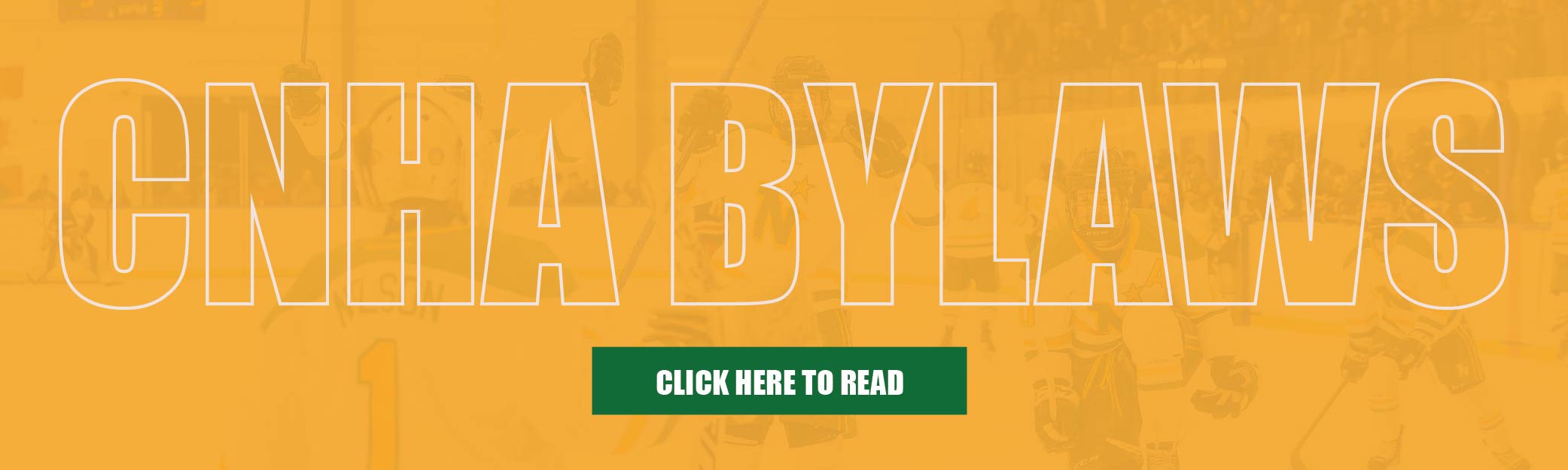 BYLAWS